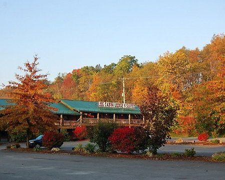 Log Cabin Lodge & Suites Jones Mills Exteriér fotografie